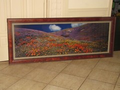 Thomas Mangelsen «Tapis Magique» Original Photograph 22″x68″ 736/2500 Flowers