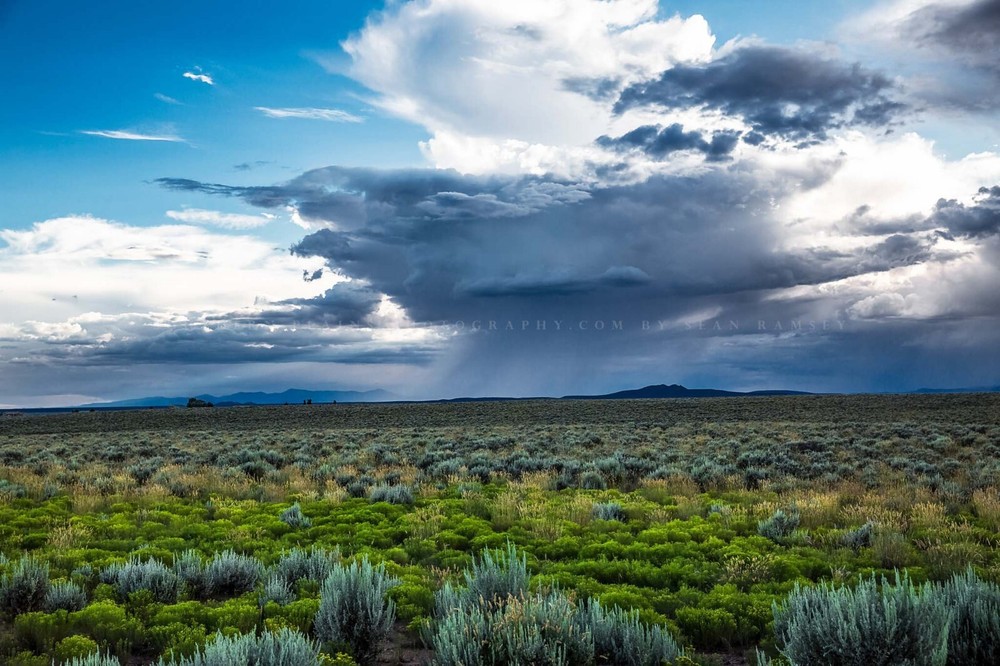 Storm Photography Print: Taos New Mexico Sagebrush Landscape Stormy Desert Photo
