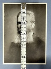 Herman Melville c.1885 Fotofolio Art Print Card Photo By Rockwood 4.25”x6”