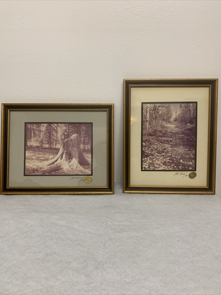 Vintage Art Gore Photographs Original Print Colorado Artist Signed Framed 2