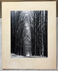 Original CLEMENS KALISCHER ‘Path in the Woods POWNAL VERMONT’ Landscape PHOTO