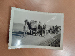 Photo WW2 Soldiers Camel Desert Africa F20