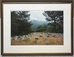 Vintage 2018 SUSANNAH HAYS ‘Bee Boxes Hives’ Datca TURKEY Landscape PHOTO