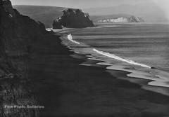 1962 Original PHILIP HYDE California Point Reyes Landscape Silver Gelatin Photo