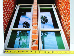 Artistic Brick Building Metal Print Professional Photograph/Palm Trees 16″ x 20″