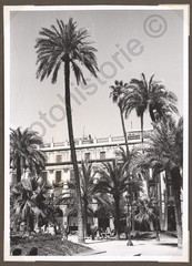 Photo Spain Barcelona Plaça Reial Square Scene 1950s Car