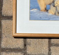 Thomas Mangelsen, Winter Solace, Polar Bears, Signed, Limited Edition