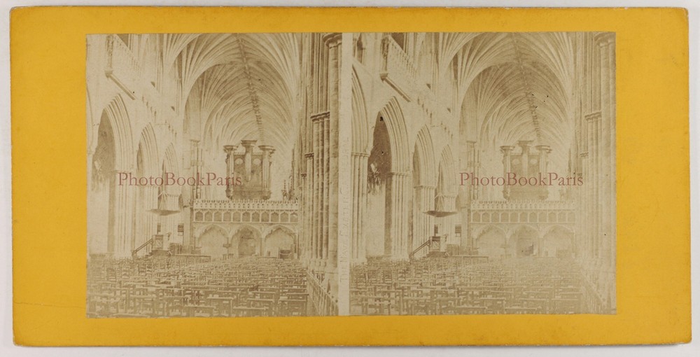 UK Cathedral Of Exeter Indoor Organ Photo Stereo Album Vintage C1870
