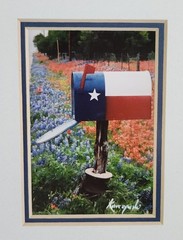 Vintage Richard Korczynski Texas Flag & Bluebonnet Original Photo Collage
