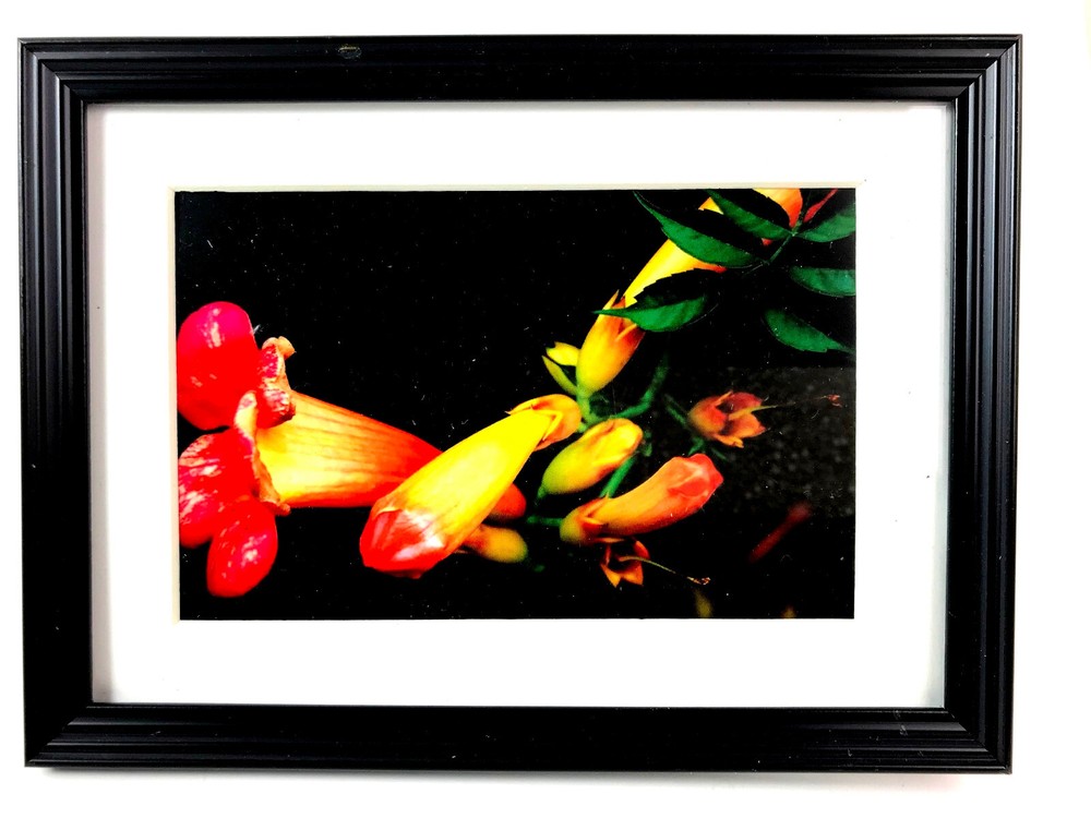 SAX BLOSSOMS 4×6 » MATTED AND FRAMED PHOTO PRINT, READY TO HANG