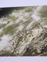 BRUCE BLUM SIGNED B&W Photo Print (17″X 13″)-«View of Rapids «