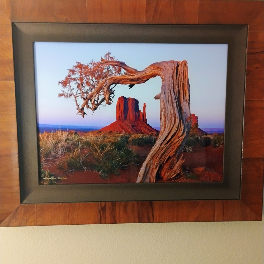 William Carr professional fine art photograph with Oak frame retail value $1600
