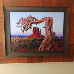 William Carr professional fine art photograph with Oak frame retail value $1600