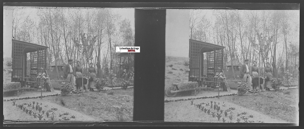 vegetable Garden, Stereoscopic Glass Plate, Black & White Negative 4.5×10.7 Cm