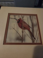 New Sealed John Fulton Original Photo Art Red Cardinal Numbered Signed 1988