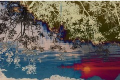 Original fine art photographic print – Fractalization 8×12 inches