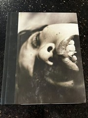 Impossible Love: Nobuyoshi Araki, A Photographic Journey through Japan art book