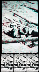 StereoJet Polarized Print 3D Stereoscopic Photo Dead bodies Great War – 6