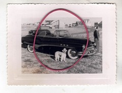 PHOTO PHOTO CAR AUTOMOBILES BUICK SPECIAL CONVERTIBLE 1954