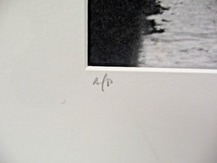ART PHOTOGRAPHY 16×20 Pelican Perch B&W A/P Matte Acid Free by Larry Santucci