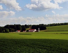 LANDSCAPE. 8.5×11 or 13X19 COLOR OR B&W, BORDERLESS **FREE SHIPPING**