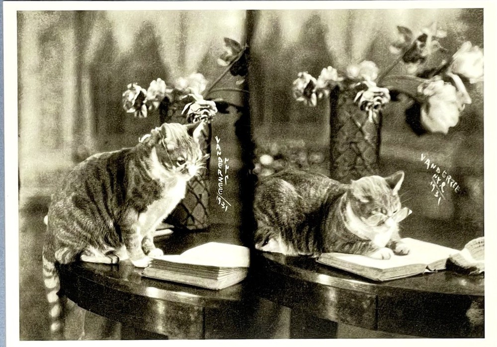 Smart Cat NYC 1931 Art Print Card Photo By James Van Der Zee Fotofolio 4”x6”
