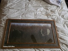 Tim DePuydt Framed Moose Photo Print 18×31 Rustic Montana Cabin Wildlife Art VTG