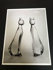 Rare Official Vintage Baccarat – France Fine art B&W Photo (Rigot Cats)