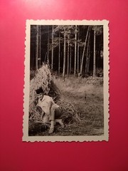 Old Photo Vintage Antique Pretty Man in the Wheatfield Man Cornfield Nice Old Photo
