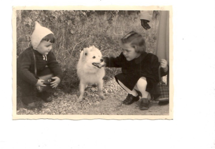 13799- Photo Memory * 2 Small Children with Dog ** 1950s
