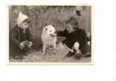13799- Photo Memory * 2 Small Children with Dog ** 1950s