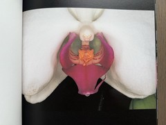 🎈SIGNED w Drawing! Nobuyoshi Araki – HANA-JINSEI, 2002 Japan Limited Ed, Unique
