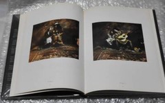 Jan Saudek Jubilations and Obsessions ROSBEEK PUBLISHERS 1995 Used