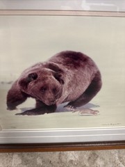 Thomas Mangelsen Signed Numbered Baron Pursuit Sold Out (out Of Production)