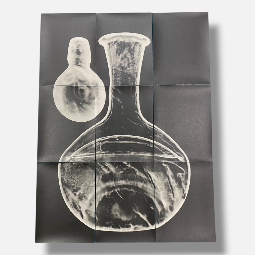 Sylvie Bussières «Sèrie Inutiles de Cristal» Foto No.2 Photogram Mural Wall Art