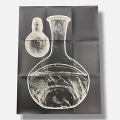 Sylvie Bussières «Sèrie Inutiles de Cristal» Foto No.2 Photogram Mural Wall Art