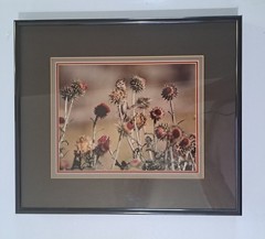Thomas D. Mangelsen Color Photo Signed Numbered Promises of The Prairie 134/500