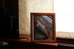 One fine Fishing Day God made away 8X10 inspirational print with FREE Frame