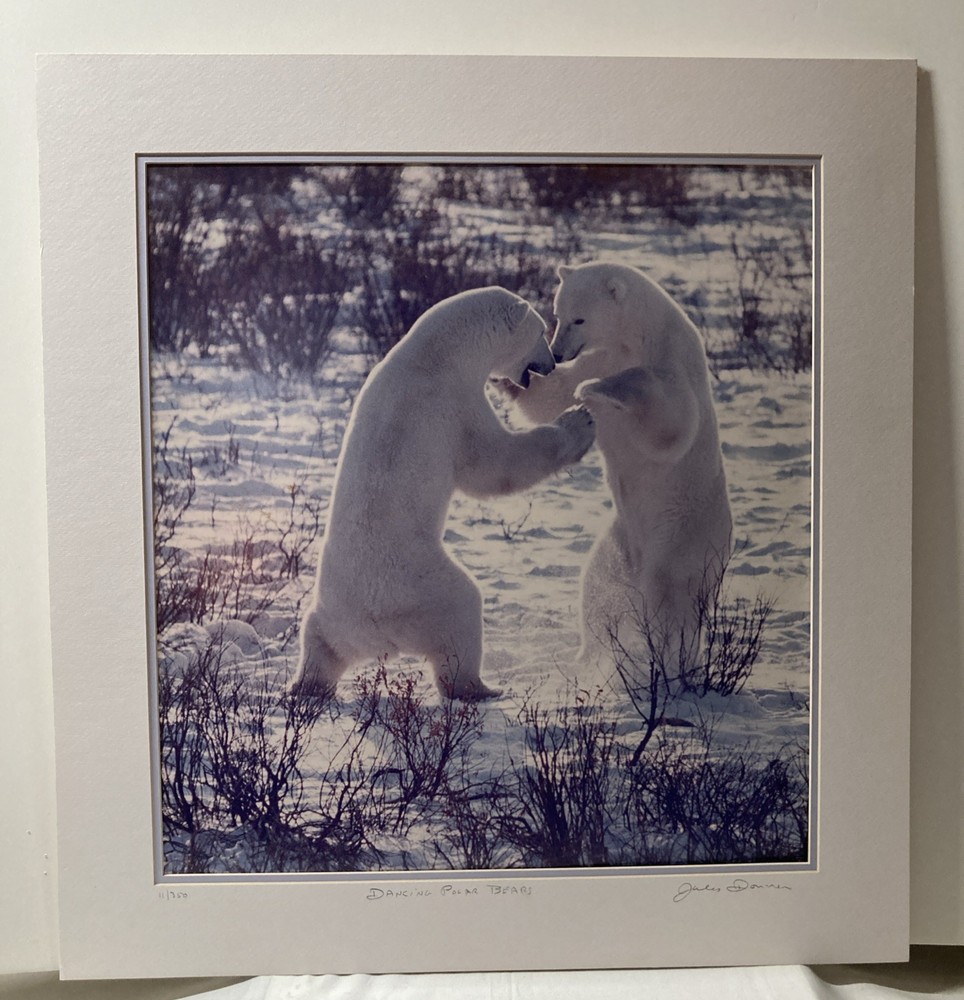 Jules Donner, “ Dancing Polar Bears“ limited Edition Photography, signed #11/350