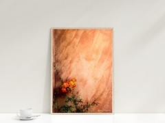 Orange Flower on Adobe House in New Mexico – Home Decor, Wall Art Photography
