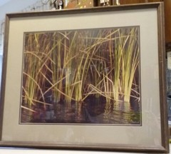 Thomas D Mangelsen set of 3 prints signed & #’d dated1981