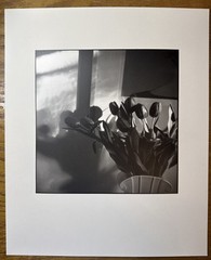 Bruce Cratsley “New Jersey Tulips” Photograph Signed Titled Dated 1985