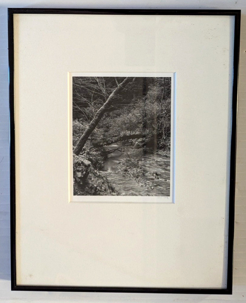 Photo B & W Photography by Rick Lang 1993
