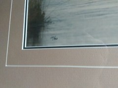 «Misty Morning Creek – Coyote» by Thomas Mangelsen – Limited Edition of 950