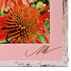 MICHAEL RAY Original Vintage Signed Long Island NY Floral Still Life Photograph