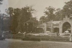 Two great old negatives unknown to me zoo brown and polar bear enclosure 1920s-30s