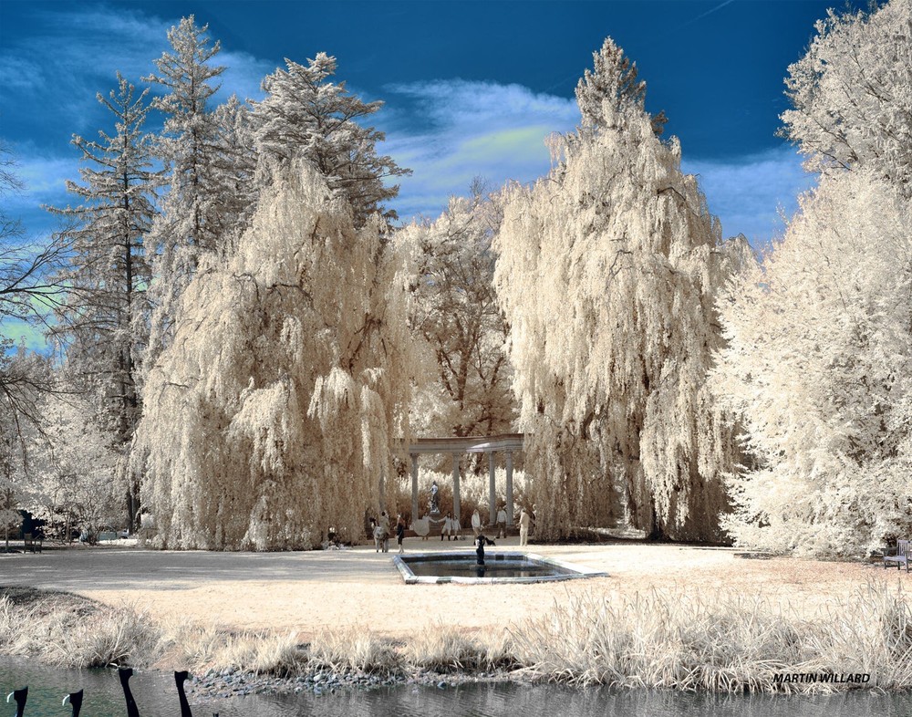 Beautiful infrared photograph mounted on board. NOT AI