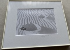 Signed Marilyn Littman Original B&W Photograph Framed Rose Sand Dunes