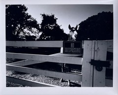 Wolf Von Dem Bussche – From The Peaceable Kingdom c.1971 (LHi01)