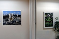 Loto en Salcedo, Dominican Republic, 20 x 30in, 2019-25, Art photo by Mel Gonz